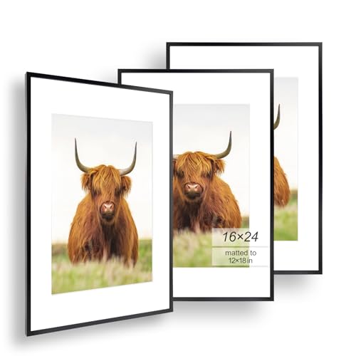 Image of Golden State Art, 16x24 Picture Frame Set of 3, Black Thin Border, Display Photo 12x18 with Mat or 16x24 Without Mat, Poster Frame for Wall Hanging Horizontal and Vertical