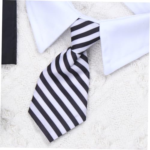 Set de gorro y corbata de graduación para perro tamaño L miniatura 5