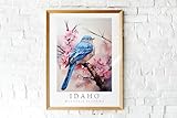 Generic Poster Of Mountain Bluebird, The State Bird of Idaho Wall Art, Black African American Woman, Mountain Bluebird Wall Hanging,160, White