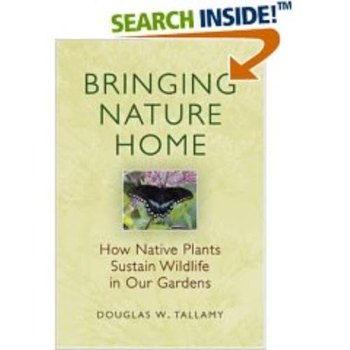 Bringing Nature Home: How Native Plants Sustain Wildlife in Our Gardens