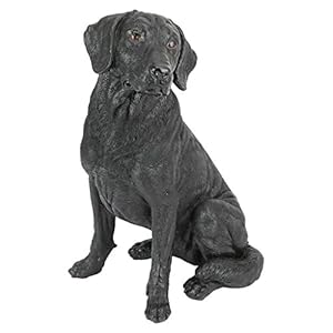 Design Toscano Zwarte labrador retriever hond tuinbeeld, polyhars, zwart, 38 cm