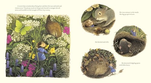 Tiny Jenny: Little Fairy, Big Trouble - Image 3