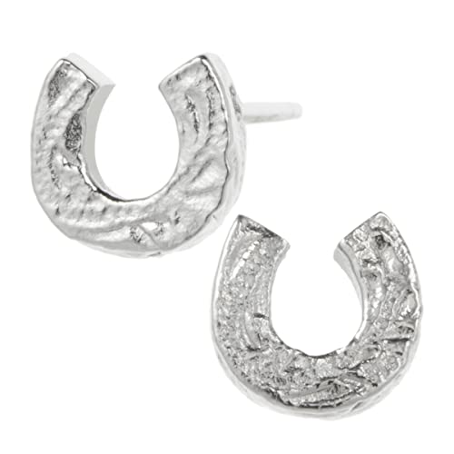 Piena sAX fB[X T[WJXeX316L nCAWG[ n z[XV[ XN[ AM[Ή (Vo[)