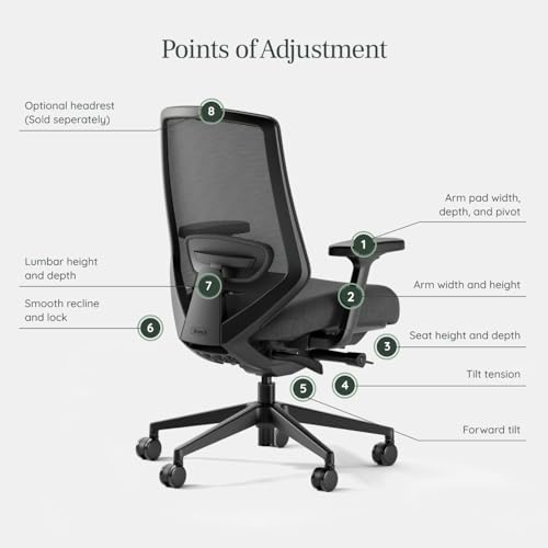 branch ergonomic chair pro