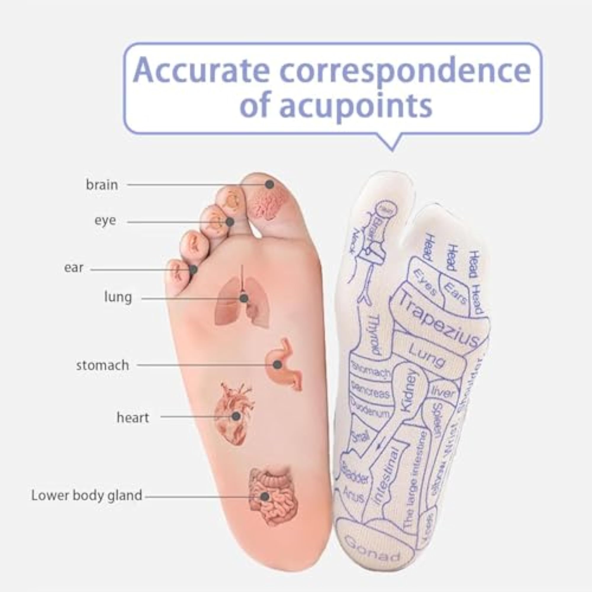 Acupressure Reflexology Socks with Stick, Physiotherapy Tools