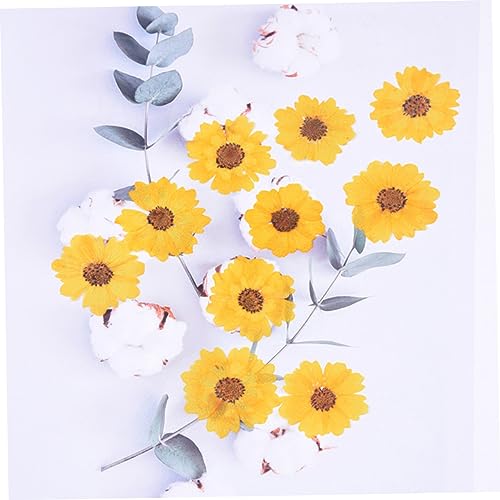 Kit de manualidades con flores secas DIY 24 piezas miniatura 2