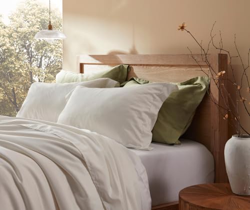 Baisihan Down Feather Pillows Set of 2, 20