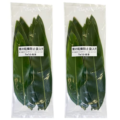 月桃縄 月桃縄【10メートル】 | Pay ID