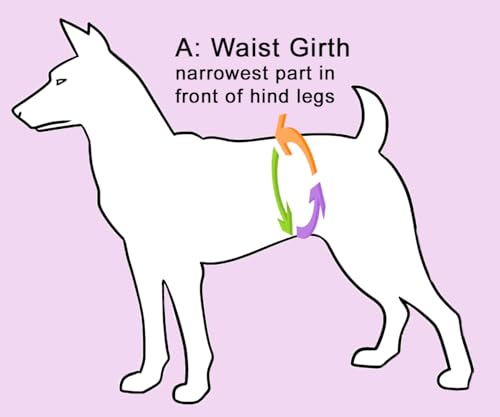 Glenndarcy Hundeschutzhöschen für läufige Hündinnen – alle Größen – optional waschbare Pads – Pink gepunktet