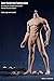 Phicen 1/6 Scale Super Flexible Male Muscular Seamless Body PL2016-M33