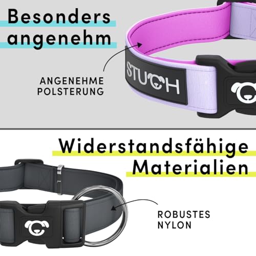 STUCH Hundehalsband - verstellbares und gepolstertes Nylon Hunde Halsband - Für kleine, mittlere und große Hunde, Farbe:Flieder, Größe:M (2,0cm x 34-55cm)