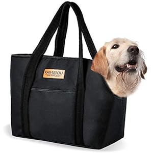 Travel Soft-Sided Purse Carriers