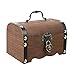 Retro Wooden Treasure Chest Storage Box, Wooden Money Storage Box Bank with Lock and Keys, Wooden Piggy Bank Safe Money Box Savings with Lock Wood Carving Handmade