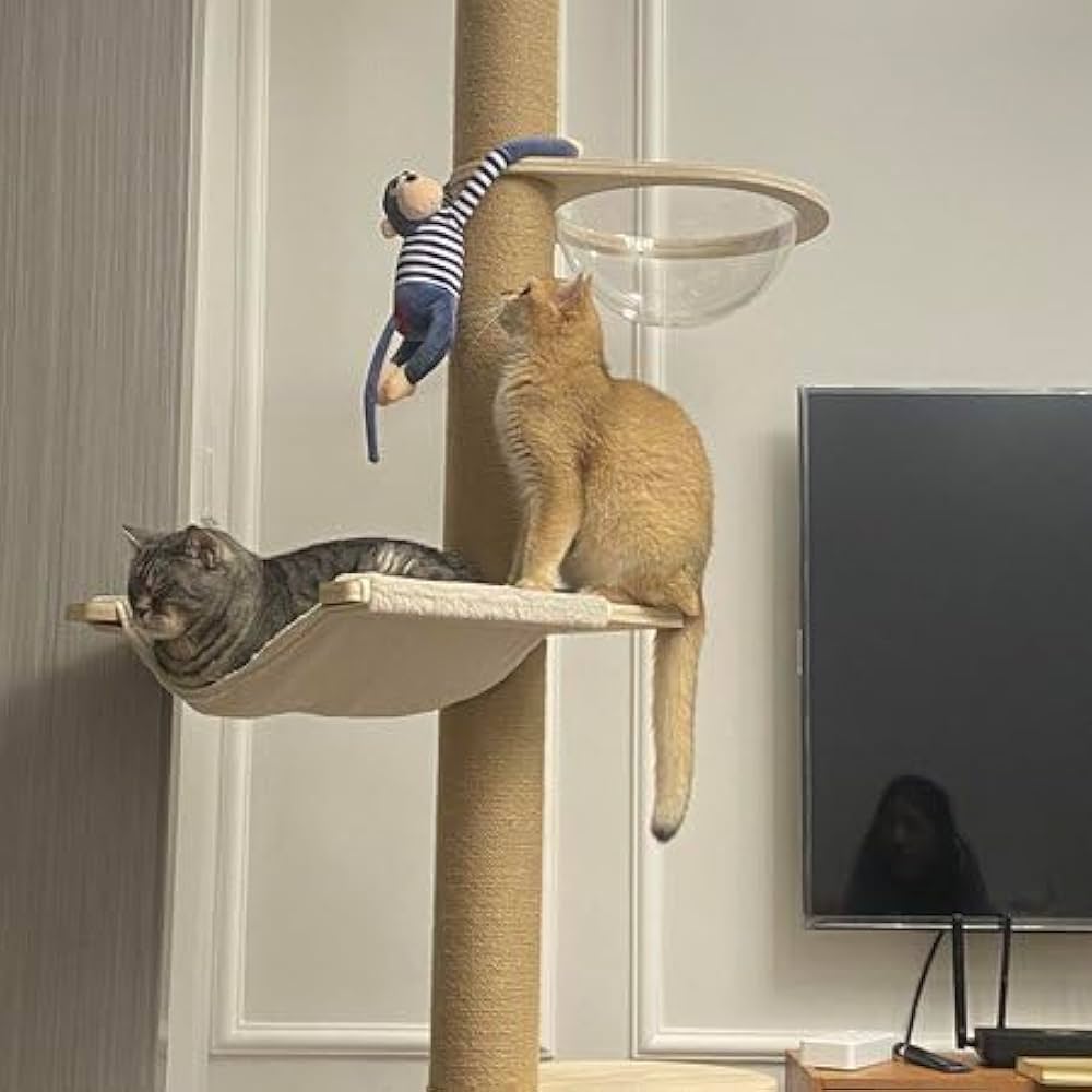 置物 maocat 置物 maocat Amazon.com : PAWZ Road Flower Cat Tree, 72