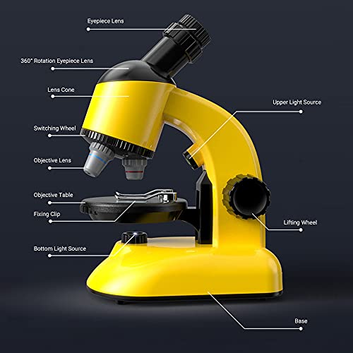 Laurio Objetos de microscópio infantil e observação de espécimes 40X ~ 800X Ampliação Mini kit de mi