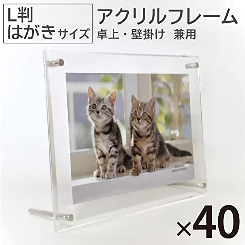 Amazon.co.jp: 互陽 40個 アクリルフレーム Lサイズ 透明 クリア