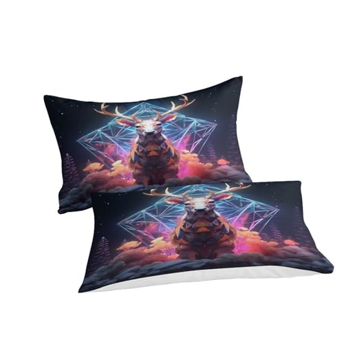 Housse de couette King size 220x240 parure de lit microfibre