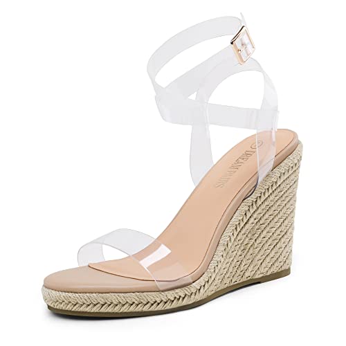 DREAM PAIRS Womens Open Toe Espadrilles Dressy Platform Sandals Buckle Ankle Strap Stylish Wedges Sandals 6.5 Clear/Nude/Pu