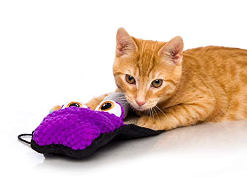 Hartz Just For Cats Gator Scratch Toy Mat (Color May Vary), All Breed Sizes #TOP3