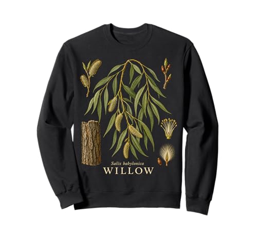 Willow Tree Botanical Vintage Nature Illustration Sweatshirt