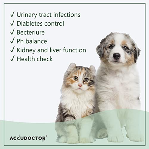 AccuDoctor 100 Urin-Teststreifen Hund & Katze – Urintest für Tiere, pH Teststreifen Urin Hund Urintestreifen Schnelltest – Urin Sticks Hund Katze, Teststreifen Urin Tier, Hund Urintest Niere Zuhause