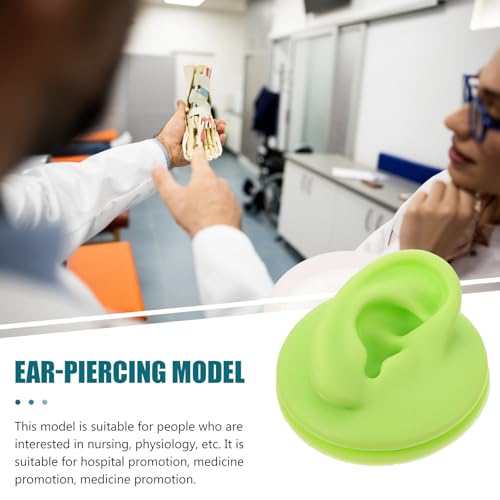 Modelo de oreja didáctico de 2 piezas ideal para escuela de piercing 8