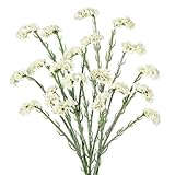 Oairse 5er-Set Kunstblumen Statice-Blume Kunstblumen Wie Echt Frühling Dekoblume für Hochzeitszimmer Home Decor Wohnzimmer Büro Hotel Küche Decor, Künstliche Zweige 96cm, Creme