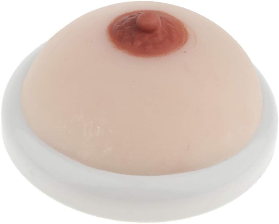 Female Breast Model for Nursing Training Mother Lactogenic Training Lactation Teaching Tools 14.5x6cm