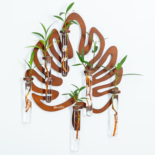 2Special Propagation Stations | Hanging Propagation Station and Wall Planters