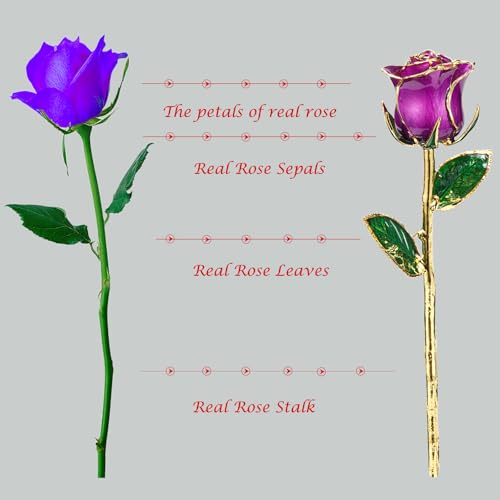 Image of Gold Rose, 24K Gold Dipped Real Rose is Attractive Luster and Natural Shape, Best Gifts for Anniversary Wedding Valentines Day (Purple Original Rose with Stand)