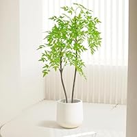 人工観葉植物 約150cm 白い鉢付き 人工観葉植物 約150cm 白い鉢付き - メルカリ