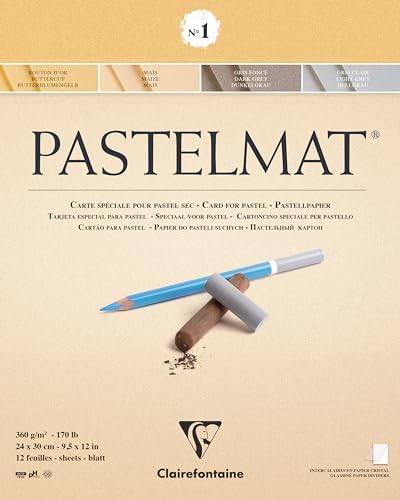 CLAIREFONTAINE NO. 1 PASTELMAT PAD, 360G, 12 Sheets (Card pad No 1, 24 x 30 cm)