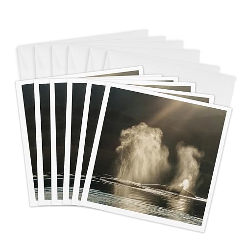 Cartes de vœux Forêt nationale des Tongass 3dRose Gc_31444_1