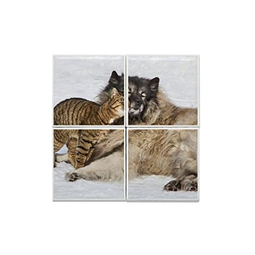 Carreaux Céramique Chien et Chat Dans La Neige 40x40 cm Décoration Murale