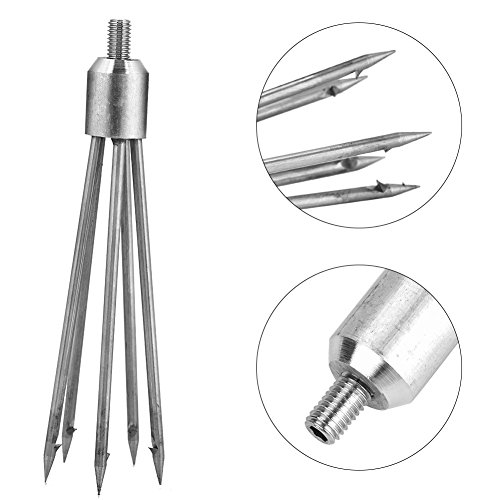 Dilwe Lance Harpon für Fische, 5 Zähne, mit Schraubenkopf, 8 mm, Langlebig, aus Edelstahl Fischereimittel – Bild 3