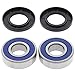 All Balls Racing Wheel Bearing Kit 25-1263 Compatible with/Replacement for Honda VT800 Shadow 1988, Suzuki RM125 1988-1991, RM250 1987
