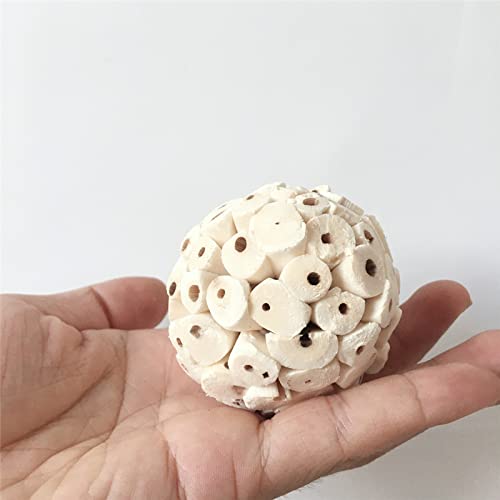 3 s Bird Natural Sola Soft Chew ShGules Foraging Toy per pappagalli Pappagallo aw 6cm/2.36in