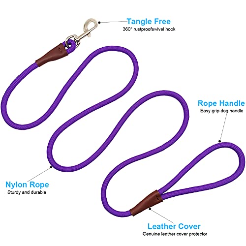SEPXUFORE Small Dog Leash, 1/4\" by 6FT Lightweight Durable Rope Leash, 10+ Bright Classic Leash for Small Pets /Puppy /Cat