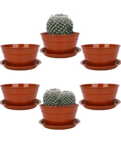 vensovo 17,8 cm rote Messing-Blumentöpfe mit Untersetzer - 6 Stück großer verzinkter Blumentopf aus Metall mit Ablaufloch, Pflanztöpfe mit Tablett, perfekt für Pflanzen und Hochzeitsfeier-Dekoration Cover