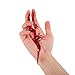 DELISOUL Halloween SFX Makeup Kit,Modeling Scar Wax,Stage Fake Blood With Brush,Spatula Tool,Professional Special Effects Makeup Kit,FX Prosthetic Trauma Wounds For Theater Stage Party Costume Cosplay