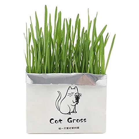 LotCow Organic Cat Grass Seeds Kit, Organic Wheatgrass Seeds Planters Healthy Pet Grass Supplement for Indoor or Outdoor Cat Dogs and Other Pets Cover