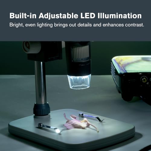 Celestron 44316 MicroDirect 1080P HDMI Handheld Digital Microscope, 10x-220x Magnification, Grey/White