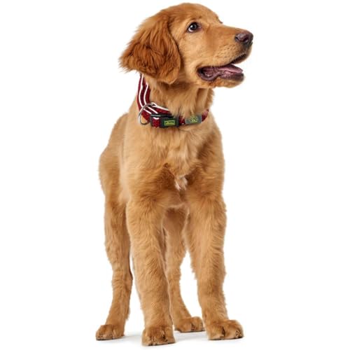 HUNTER Hundehalsung HILO VARIO PLUS, Farbe: rot, innovatives 3D-Mesh-Material, atmungsaktiv, leichter Kühleffekt bei Wärme, reflektierend, stufenlos verstellbar, angenehm leicht, Größe: L-XL