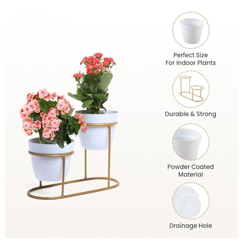 Image of UMAI Planter | Desktop Flower Planter | Home Decor Flowers Pot | Balcony Flower Pot | Flower Planter for Office Decor | Double Planter with Golden Stand | White