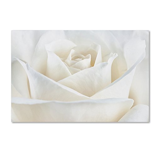 Pure White Rose By Cora Niele, 30X47-Inch Canvas Wall Art #TOP29