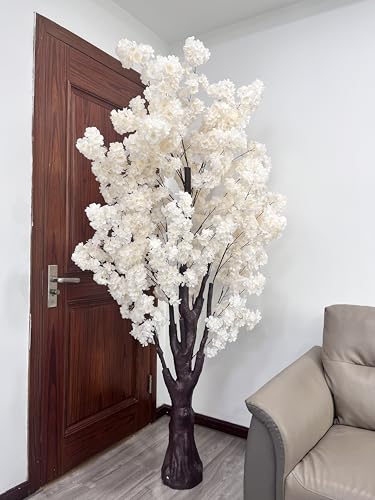 DOOUWANT 6.5ft Champagne