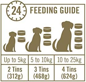 Encore 100% Natural Wet Dog Food, Beef Steak, In Gravy Tin, 156g (Pack of 12)
