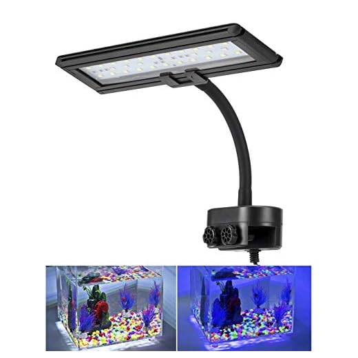 hygger 9.7 Inches Blue White LED Aquarium Light Clip on Small Led Light for Planted Saltwater Freshwater Fish Tank with Gooseneck Clamp 13W