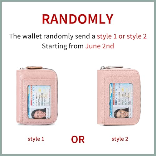Image of RNIEGA Credit Card Holder Wallet RFID Blocking Leather Small Wallet for Women Double Zipper Wallet with ID Window
