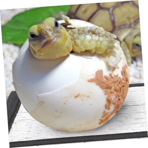 Alfombrilla térmica reflectante para reptiles 16x16 cm miniatura 4